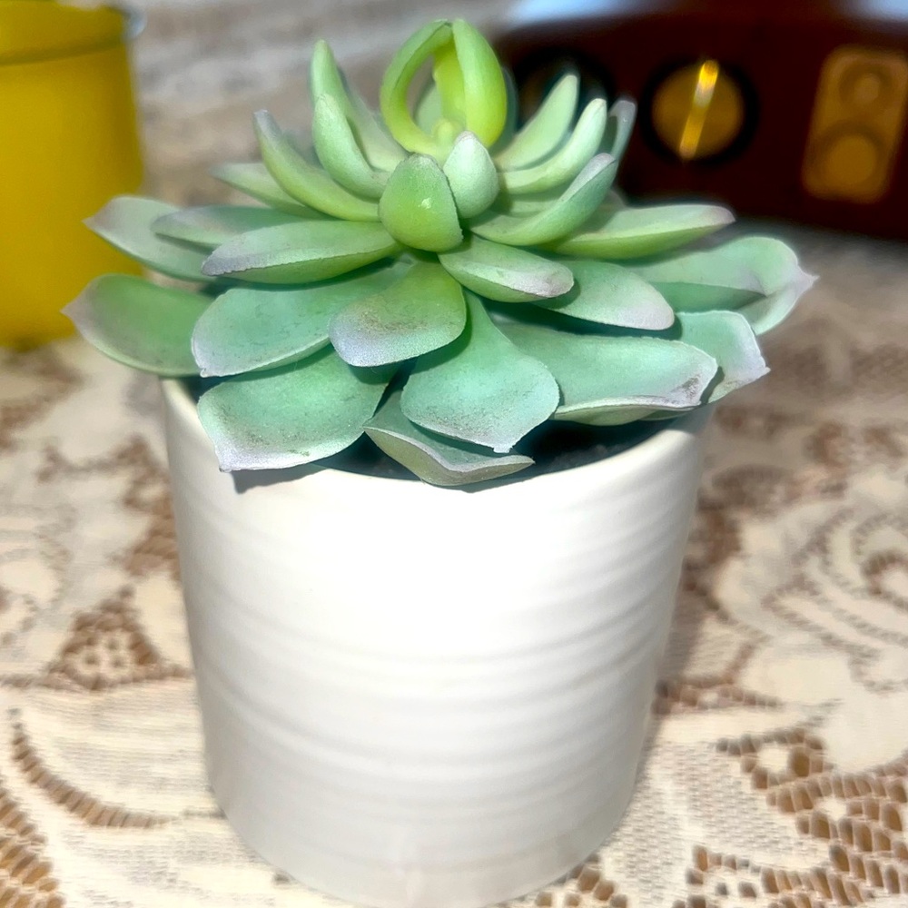 Faux Succulent in White Planter